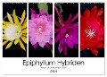 Epiphyllum-Hybriden (Wandkalender 2024 DIN A2 quer), CALVENDO Monatskalender - Steffen Latniak Gierok