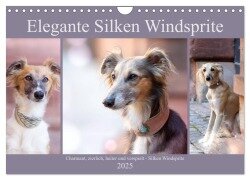 Elegante Silken Windsprite (Wandkalender 2025 DIN A4 quer), CALVENDO Monatskalender - Fotodesign Verena Scholze