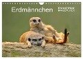 Erdmännchen - Tierkinder (Wandkalender 2024 DIN A4 quer), CALVENDO Monatskalender - Michael Weber