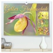Gelber Frauenschuh (hochwertiger Premium Wandkalender 2025 DIN A2 quer), Kunstdruck in Hochglanz - Sabine Löwer
