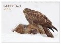 GREIFVÖGEL wild & frei (Wandkalender 2024 DIN A3 quer), CALVENDO Monatskalender - Wolfgang Brandmeier