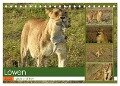 Löwen - gross und klein (Tischkalender 2024 DIN A5 quer), CALVENDO Monatskalender - Susan Michel