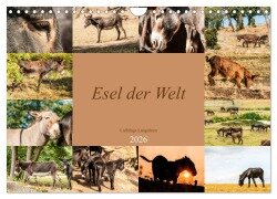 Cover-Bild zum Titel 'Esel der Welt - Lieblings Langohren (Wandkalender 2026 DIN A4 quer), CALVENDO Monatskalender' von 'Meike Bölts'