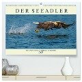 DER SEEADLER Ein Portrait des größten Greifvogels Mitteleuropas (hochwertiger Premium Wandkalender 2025 DIN A2 quer), Kunstdruck in Hochglanz - Arne Wünsche