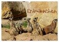 Erdmännchen (Wandkalender 2024 DIN A3 quer), CALVENDO Monatskalender - Heike Hultsch