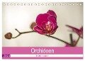 Blütenzauber Orchideen (Tischkalender 2024 DIN A5 quer), CALVENDO Monatskalender - Andrea Potratz