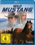 Wild Mustang - Henry Ansbacher, Ellie Phipps Price, Ron Fish