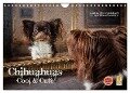 Chihuahuas - Cool and Cute (Wandkalender 2024 DIN A4 quer), CALVENDO Monatskalender - Oliver Pinkoss Photostorys