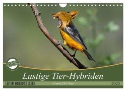 Lustige Tier-Hybriden (Wandkalender 2025 DIN A4 quer), CALVENDO Monatskalender - Ursula Di Chito