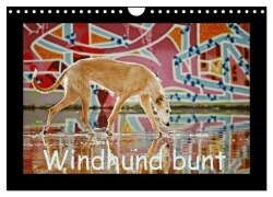 Windhund bunt (Wandkalender 2025 DIN A4 quer), CALVENDO Monatskalender - Kathrin Köntopp