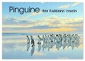 Pinguine der Falkland Inseln (Wandkalender 2024 DIN A2 quer), CALVENDO Monatskalender - Elmar Weiss