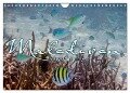 Unterwasserwelt der Malediven III (Wandkalender 2024 DIN A4 quer), CALVENDO Monatskalender - Clave Rodriguez Photography