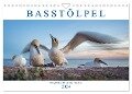 Basstölpel - Helgolands tollkühne Taucher (Wandkalender 2024 DIN A4 quer), CALVENDO Monatskalender - Norman Preißler