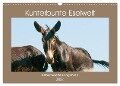Kunterbunte Eselwelt - Liebenswerte Langohren (Wandkalender 2024 DIN A3 quer), CALVENDO Monatskalender - Meike Bölts