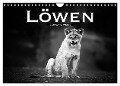 Löwen schwarz weiß (Wandkalender 2024 DIN A4 quer), CALVENDO Monatskalender - Robert Styppa