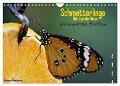 Schmetterlinge Nützlinge der Natur farbenfrohe Exoten (Wandkalender 2024 DIN A4 quer), CALVENDO Monatskalender - Monique Diesselhorst