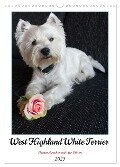 West Highland White Terrier - Herzensbrecher auf vier Pfoten (Wandkalender 2025 DIN A3 hoch), CALVENDO Monatskalender - Angela Rohde