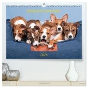 Cover-Bild zum Titel 'Basenji-Schönheiten (hochwertiger Premium Wandkalender 2026 DIN A2 quer), Kunstdruck in Hochglanz' von 'Angelika Joswig'