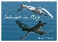 Schwäne im Flug (Wandkalender 2024 DIN A2 quer), CALVENDO Monatskalender - Roland T. Frank