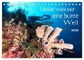 Unterwasser - eine bunte Welt (Tischkalender 2024 DIN A5 quer), CALVENDO Monatskalender - Bianca Schumann
