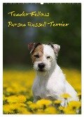 Tender Fellows - Parson Russell Terrier (Wandkalender 2024 DIN A2 hoch), CALVENDO Monatskalender - Maike Clüver