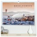 Kegelrobben - Die Kegelrobben von Helgoland (hochwertiger Premium Wandkalender 2024 DIN A2 quer), Kunstdruck in Hochglanz - Lain Jackson