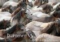 Dülmener Wildpferde - Gefährdete Nutztierrasse (Wandkalender immerwährend DIN A4 quer) - Barbara Mielewczyk