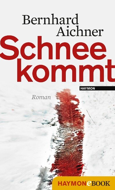 Schnee kommt - Bernhard Aichner