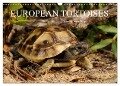 European Tortoises / UK-Version (Wall Calendar 2024 DIN A3 landscape), CALVENDO 12 Month Wall Calendar - Benny Trapp