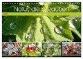 Natur, die bezaubert (Wandkalender 2024 DIN A4 quer), CALVENDO Monatskalender - Gisela Kruse