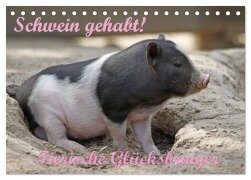 Cover-Bild zum Titel 'Schwein gehabt! (Tischkalender 2026 DIN A5 quer), CALVENDO Monatskalender' von 'Antje Lindert-Rottke'