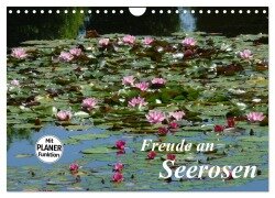 Freude an Seerosen (Wandkalender 2025 DIN A4 quer), CALVENDO Monatskalender - Gisela Kruse