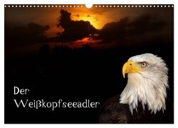 Der Weißkopfseeadler (Wandkalender 2025 DIN A3 quer), CALVENDO Monatskalender - Arno Klatt