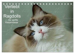 Verliebt in Ragdolls ... die sanfte Katzenrasse (Tischkalender 2026 DIN A5 quer), CALVENDO Monatskalender - Marion Reiß-Seibert