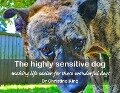 The highly sensitive dog - Christine King