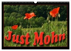Cover-Bild zum Titel 'Just Mohn (Wandkalender 2026 DIN A3 quer), CALVENDO Monatskalender' von 'Flori Flori0'