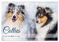 Collies - die schönsten Hunde der Welt (Wandkalender 2025 DIN A4 quer), CALVENDO Monatskalender - Sigrid Starick