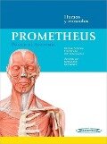 Prometheus : póster de anatomía : huesos y músculos - Michael Schünke, Erik Schulte, Udo Schumacher