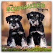 Cover-Bild zum Titel 'Schnauzer Puppies - Schnauzer Welpen 2026 - 16-Monatskalender' von 'Browntrout Publishers'