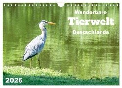 Wunderbare Tierwelt Deutschlands (Wandkalender 2026 DIN A4 quer), CALVENDO Monatskalender - Angela Rohde