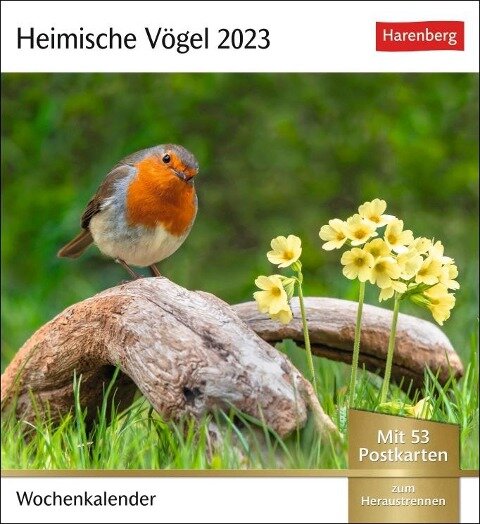 Heimische Vögel Postkartenkalender 2023 - 
