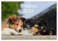 Shelties 2024 (Wandkalender 2024 DIN A2 quer), CALVENDO Monatskalender - Marion Reiß - Seibert