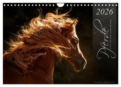 Pferde - Anmut und Stärke gepaart mit Magie (Wandkalender 2026 DIN A4 quer), CALVENDO Monatskalender - Sabrina Mischnik