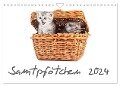 Samtpfötchen (Wandkalender 2024 DIN A4 quer), CALVENDO Monatskalender - HeschFoto HeschFoto