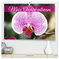 Mein Orchideentraum (hochwertiger Premium Wandkalender 2025 DIN A2 quer), Kunstdruck in Hochglanz - Gisela Kruse
