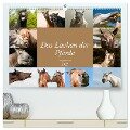 Das Lachen der Pferde - Lustige Gesichter (hochwertiger Premium Wandkalender 2025 DIN A2 quer), Kunstdruck in Hochglanz - Meike Bölts