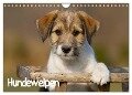 Hundewelpen (Wandkalender 2024 DIN A4 quer), CALVENDO Monatskalender - Anna Auerbach
