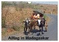 Alltag in Madagaskar (Wandkalender 2024 DIN A4 quer), CALVENDO Monatskalender - Willy Brüchle