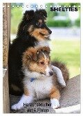 SHELTIES Herzensbrecher auf 4 Pfoten (Tischkalender 2025 DIN A5 hoch), CALVENDO Monatskalender - Marion Reiß-Seibert