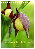 Einheimische Orchideen (Tischkalender 2024 DIN A5 hoch), CALVENDO Monatskalender - Wiltrud Haas